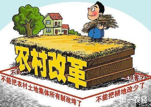 叶兴庆:积极应变主动求变不断深化农村改革