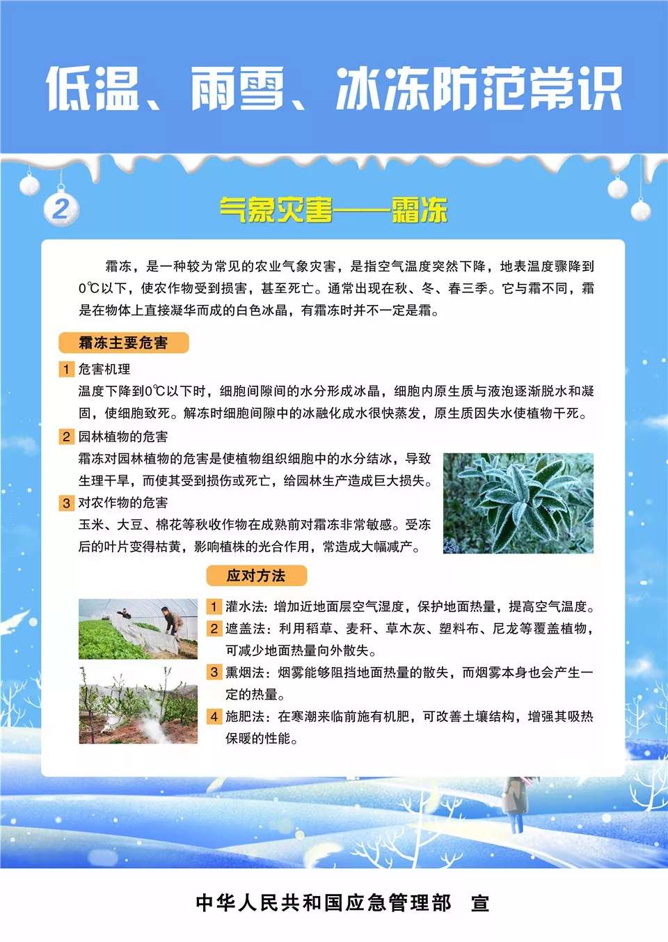 农业气象科普低温雨雪冰冻防范常识