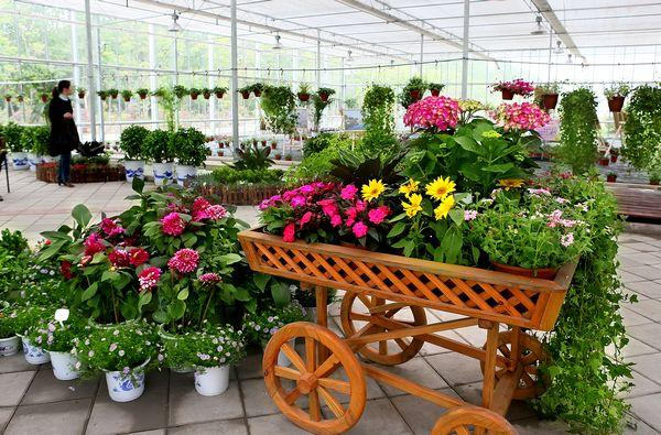 海宁着力打造国际花卉产业园助推乡村产业振兴